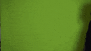 Look At This Wait What GIF by Young Deuces