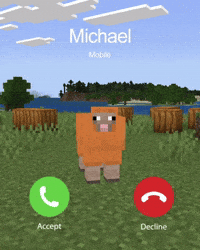 Minecraft GIF