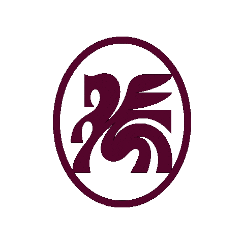 trinityfc giphyupload dallas womens soccer usl Sticker