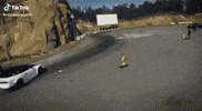 Norwegiandrift cars motorsport norway formula drift GIF