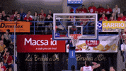 liga endesa basketball GIF by ACB