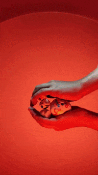Grainestmx vegano pandemuerto grainestmx eco-shake GIF