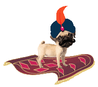 Pug Cambio Sticker by Fiat Brasil