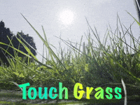 Grass Touch GIF