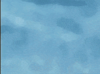 Flying Be Right There GIF