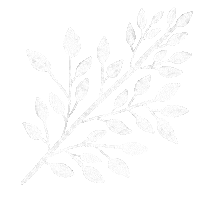 Leaves Decor Sticker