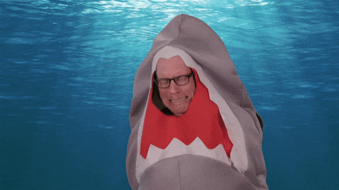 Discovery No GIF by Shark Week