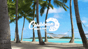 Partypokerlive partypoker partypoker live caribbean poker party GIF