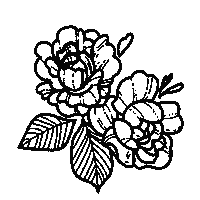 Flowers Persian Sticker