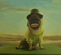 Happy Dog GIF by Oi_oficial