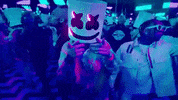 chris brown GIF by Marshmello
