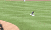 Super Regional Baseball GIF by NCAA Championships