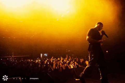 8TeamChampion giphygifmaker GIF