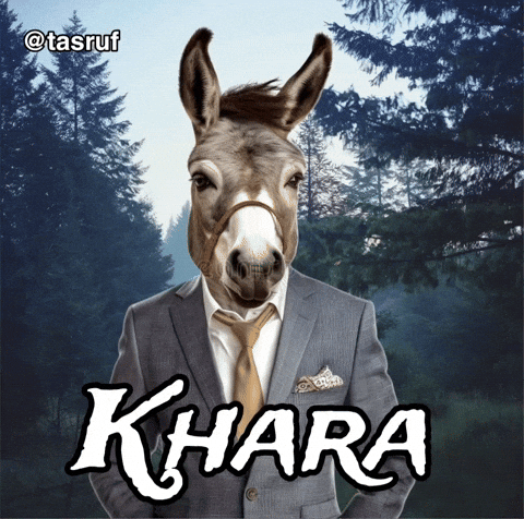 Donkey Kashmiri GIF