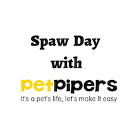 Spa Day Dog Grooming Sticker by Pet Pipers