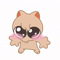 Skz Stay GIF