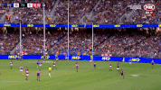 2018 season football GIF by AFL