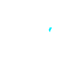 litnfly logo fly lit litnfly Sticker