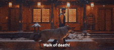 Shed War GIF by Hrithik Roshan