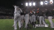 sf 137 GIF by MLB