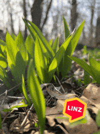 Spring Omg GIF by Linz News