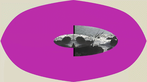 Collage Art GIF by jorgemariozuleta