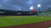 Red Sox Wow GIF by MLB