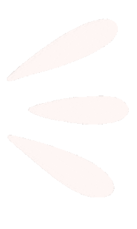 Plant-Based Vegan Sticker by Mia & Ben