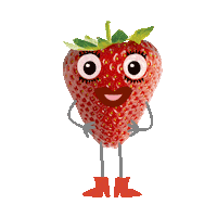 AartsenKidsFoundation fruit strawberry elvira aardbei Sticker