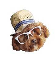 Puppy Woof Sticker