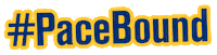 New York College Sticker by Pace University