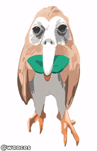 Sun And Moon Pokemon GIF