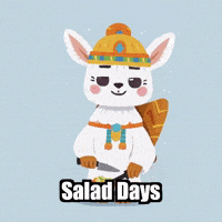 Salad Days Cooking GIF by Llamaozi
