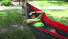camplebanon  GIF