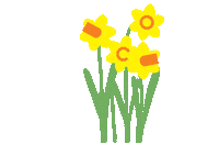 Daffodils Daffs Sticker by National Trust