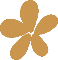 sierrafrostad art nature plant plants Sticker