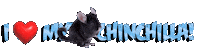 Guinea Pig Love Sticker