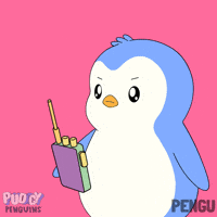 Lets Go GIF by Pudgy Penguins