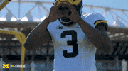 michigan football GIF by Michigan Athletics