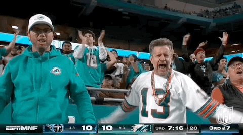 National Football League GIF by NFL