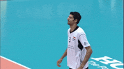 Lets Go Yes GIF by Volleyball World