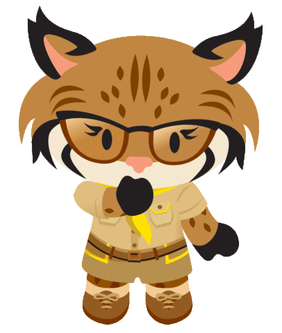 Happy World Tour Sticker by AppExchange