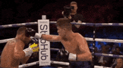 Espn Fighting GIF by Top Rank Boxing