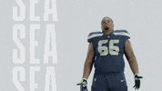American Football GIF by Seattle Seahawks