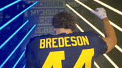 Go Blue Michigan Football GIF by Michigan Athletics
