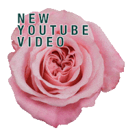 Youtube Mood Sticker by Barbarella