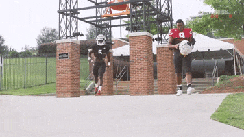Excited Ls GIF by Mercer Bears
