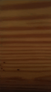 Rprprova GIF by ReaPalusRace