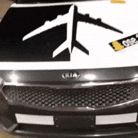 Cadenza GIF