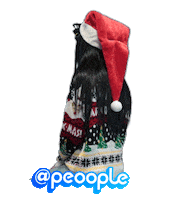 Happy Dance Sticker by Peoople